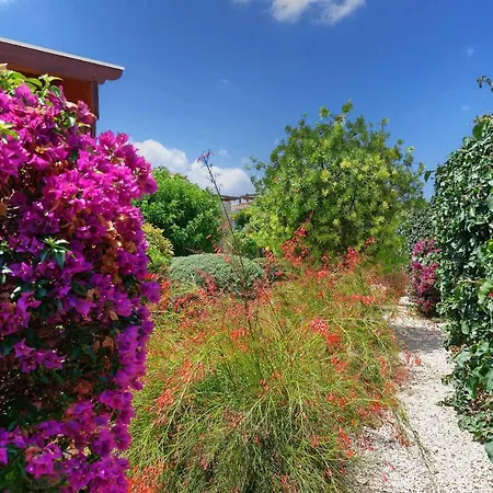 Βίλα Pashiana Πόλη