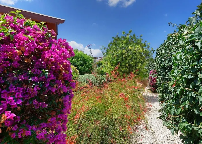 Villa Pashiana Polis